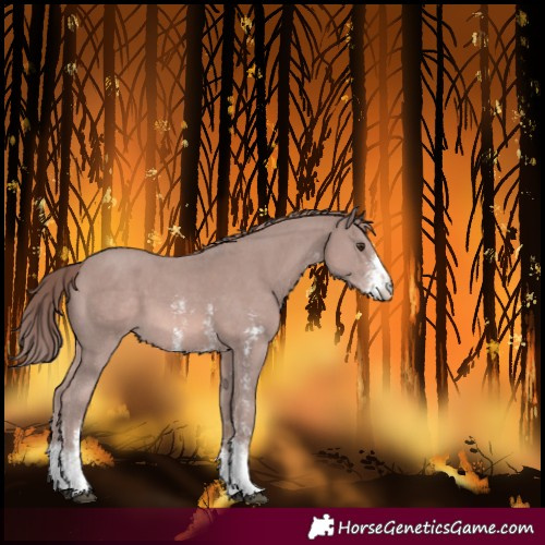 Horse Color:Platinum Chestnut Sabino 