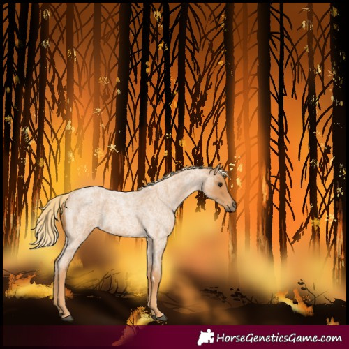 Horse Color:Red Roan 