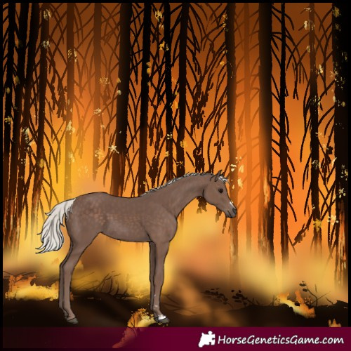 Horse Color:Silver Black 