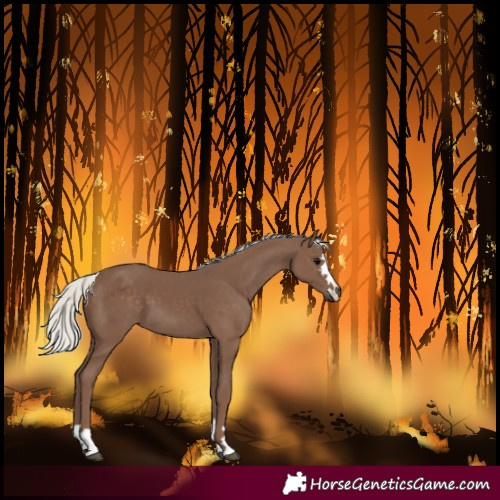 Horse Color:Silver Black 