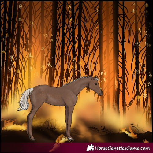 Horse Color:Silver Black