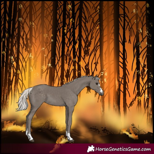 Horse Color:Silver Smoky Black 