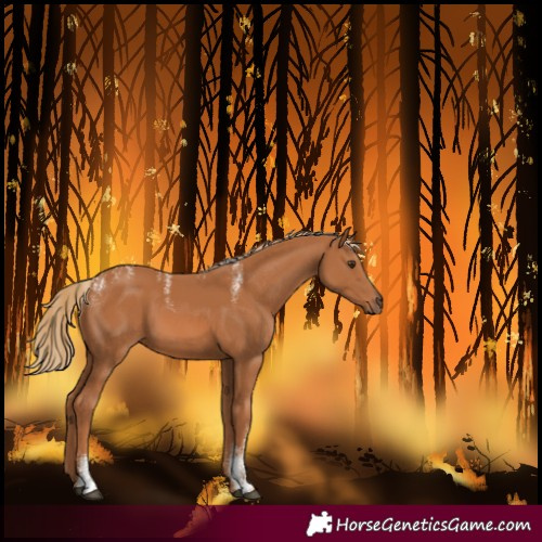 Horse Color:Powder White Chestnut