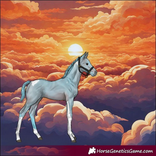 Horse Color:Watercolor Bay Tobiano 