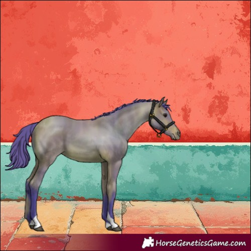 Horse Color:Watercolor Bay Tobiano 