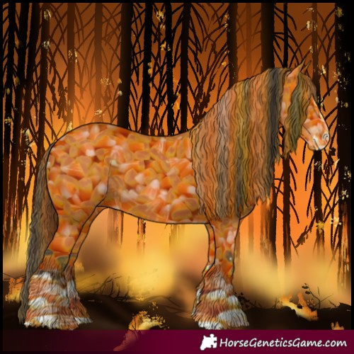 Horse Color:Bay Splash 