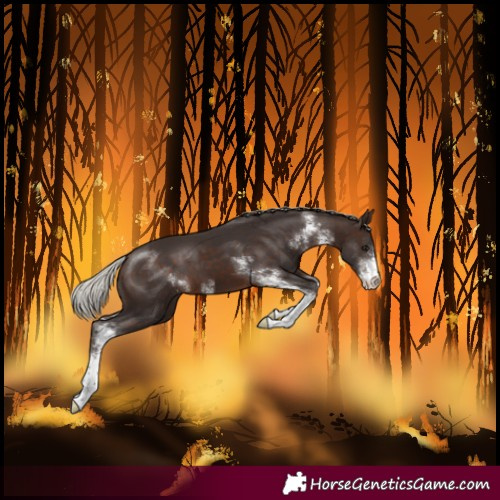 Horse Color:Silver Brown Sabino 