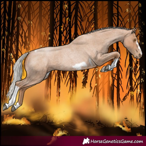 Horse Color:Silver Blue Roan Pearl Tobiano Frame 