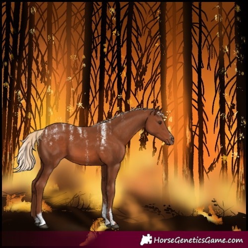 Horse Color:Powder White Chestnut