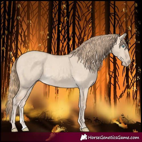 Horse Color:Perlino Dun 