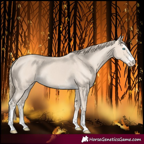 Horse Color:Smoky Creme