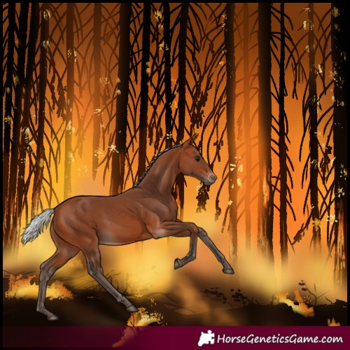 Horse Color:Silver Brown 