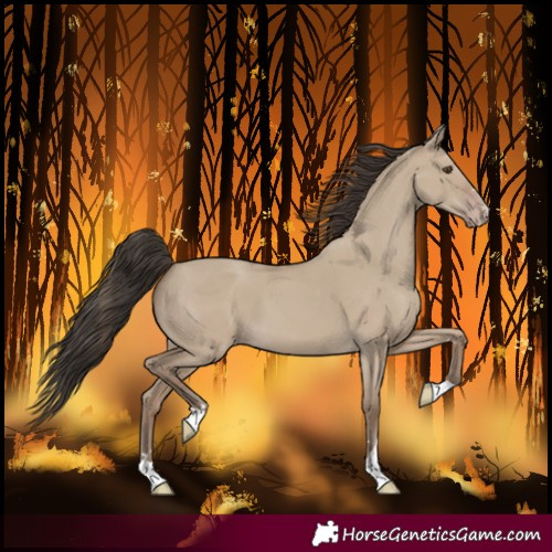 Horse Color:Classic Champagne Dun 
