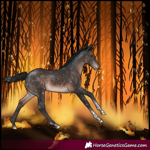 Horse Color:Brown Mushroom Tobiano Snowflake Varnish