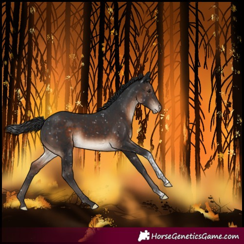 Horse Color:Brown Tobiano Snowflake VarnishRabicano 