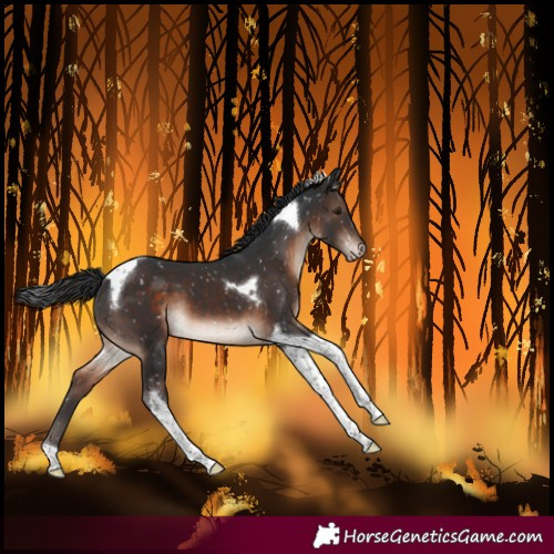 Horse Color:Brown Mushroom Tobiano Snowflake Varnish 