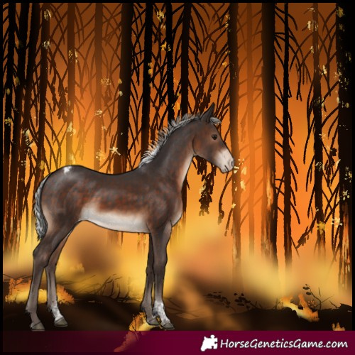 Horse Color:Silver Brown Tobiano Skewed LP Spotted Rabicano 
