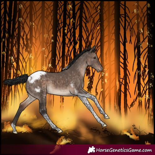 Horse Color:Brown Dun Mushroom Tobiano Snowcap Brindle 