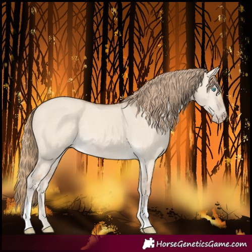 Horse Color:Perlino Dun