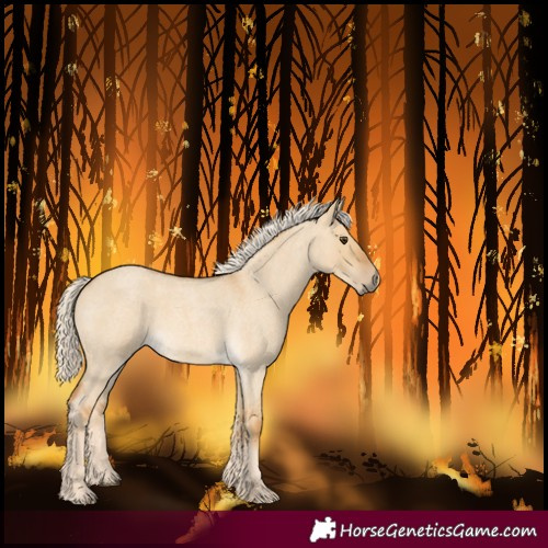 Horse Color:Palomino Roan Dun Rabicano 