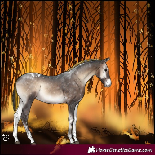 Horse Color:Painted Brown Onyx Tobiano Rabicano 