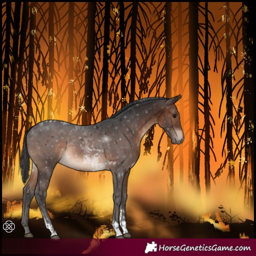 Horse Color:Brown Tobiano Rabicano