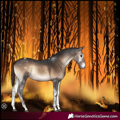 Horse Color:Painted Brown Onyx Tobiano Rabicano 