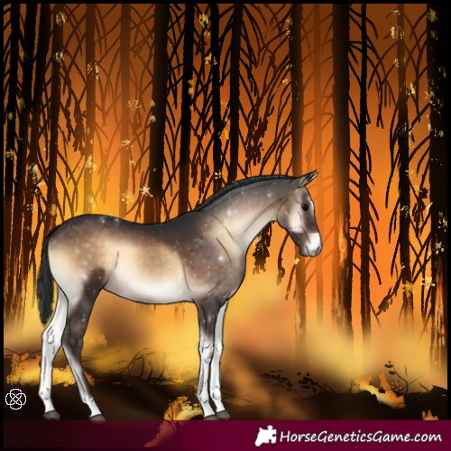 Horse Color:Brown Onyx Tobiano Rabicano