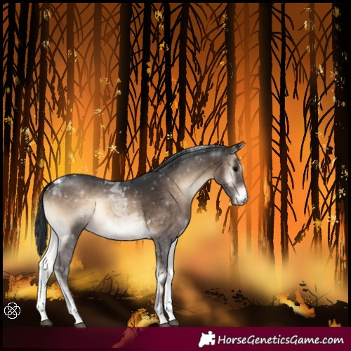 Horse Color:Brown Onyx Tobiano Rabicano 
