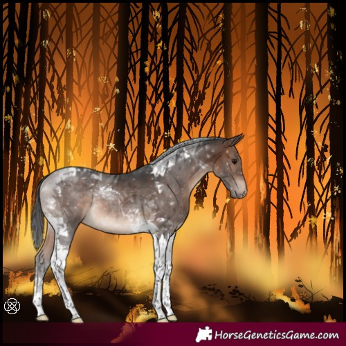 Horse Color:Brown Tobiano Rabicano