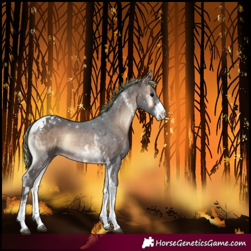 Horse Color:Painted Brown Onyx Sabino Tobiano