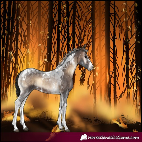 Horse Color:Brown Onyx Sabino Tobiano
