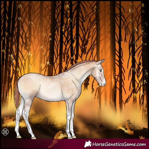 Horse Color:Painted Buckskin Pearl Onyx Tobiano 