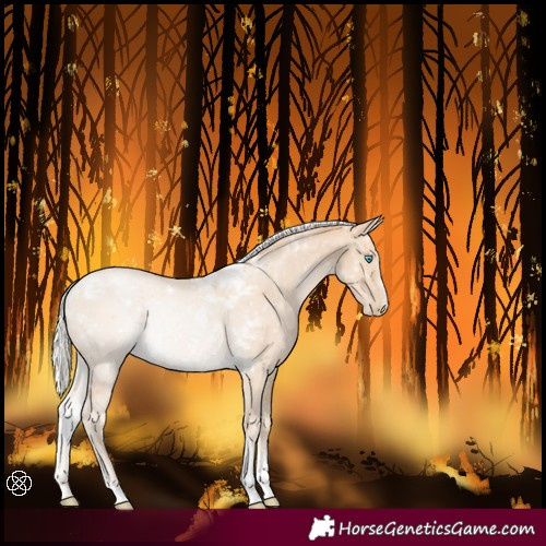 Horse Color:Silver Smoky Black Pearl Tobiano 