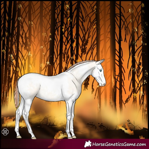 Horse Color:Painted Perlino Dun Splash Tobiano 