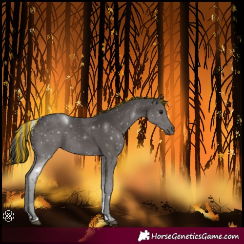 Horse Color:Painted Smoky Black Tobiano 