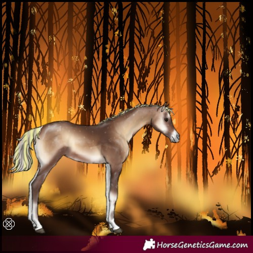 Horse Color:Painted Silver Brown Onyx Sabino Tobiano Rabicano 