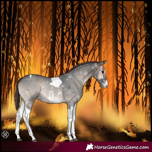 Horse Color:Painted Blue Onyx Sabino Tobiano 