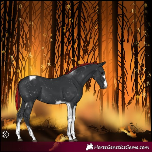 Horse Color:Painted Black Tobiano