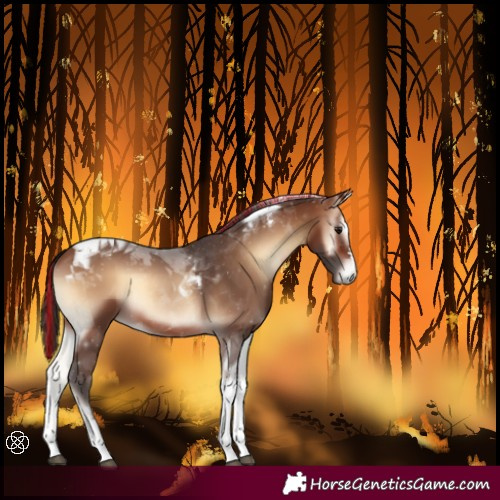 Horse Color:Painted Brown Onyx Tobiano