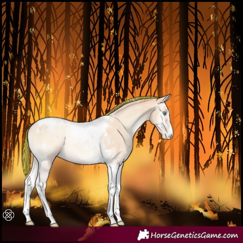 Horse Color:Painted Buckskin Pearl Onyx Tobiano