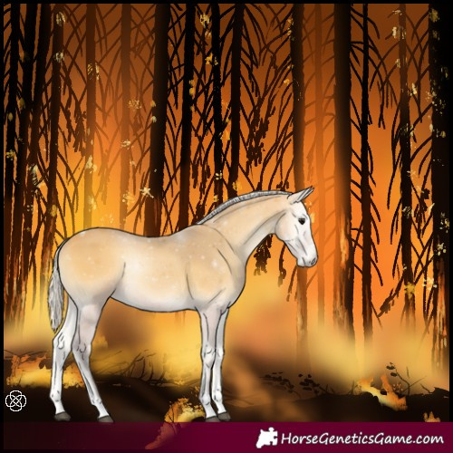 Horse Color:Silver Buckskin Onyx Tobiano
