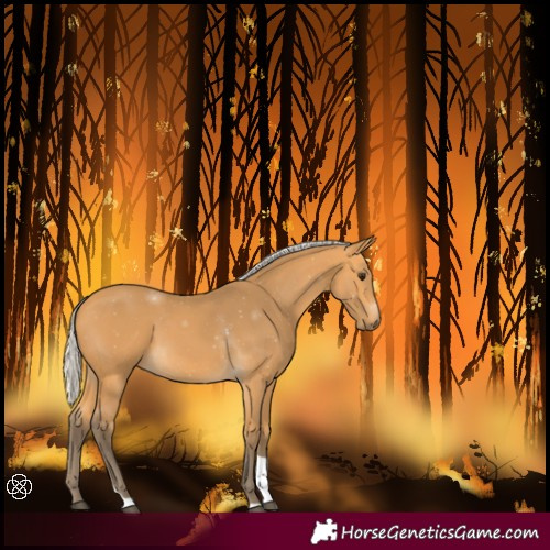 Horse Color:Silver Buckskin Tobiano 