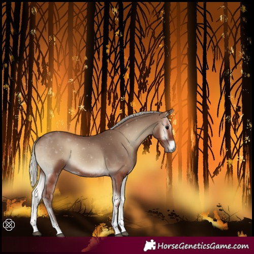 Horse Color:Silver Blue Onyx Tobiano