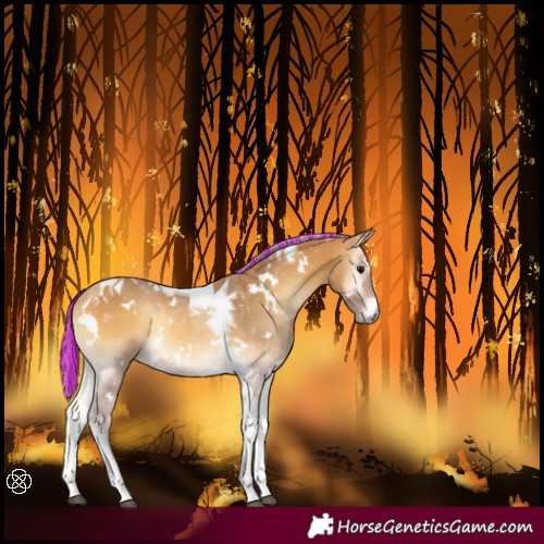 Horse Color:Painted White Spotted Silver Buckskin Onyx Tobiano 