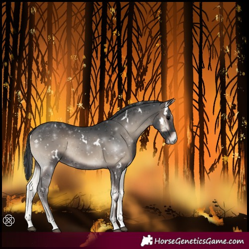 Horse Color:White Spotted Blue Onyx Tobiano 