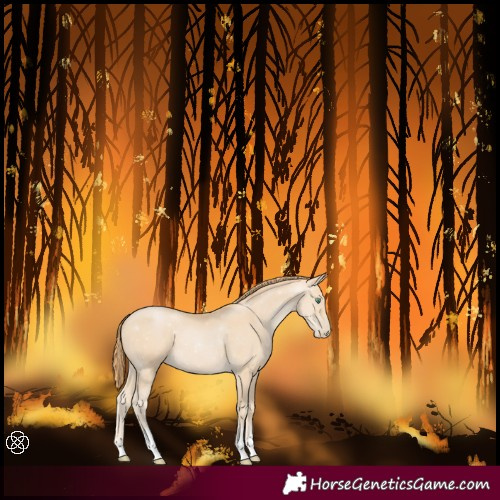 Horse Color:Smoky Black Pearl Sabino Tobiano