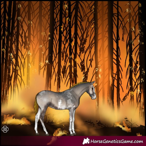 Horse Color:Painted Blue Onyx Sabino Tobiano
