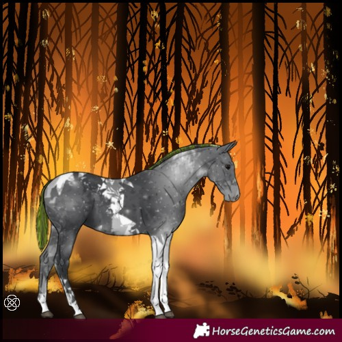 Horse Color:Painted Black Tobiano 