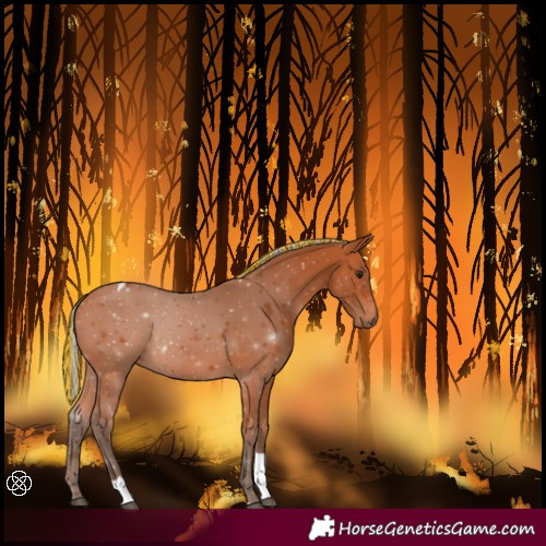 Horse Color:Painted Silver Bay Tobiano